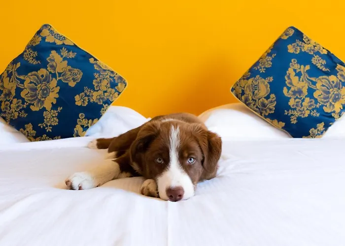 Castello Artemide Congressi Hotel Castel San Pietro Terme