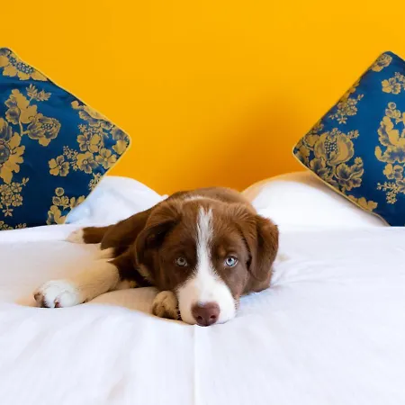 Castello Artemide Congressi Ξενοδοχείο Castel San Pietro Terme